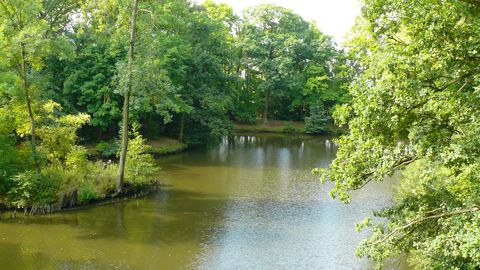 Schwanenteichpark